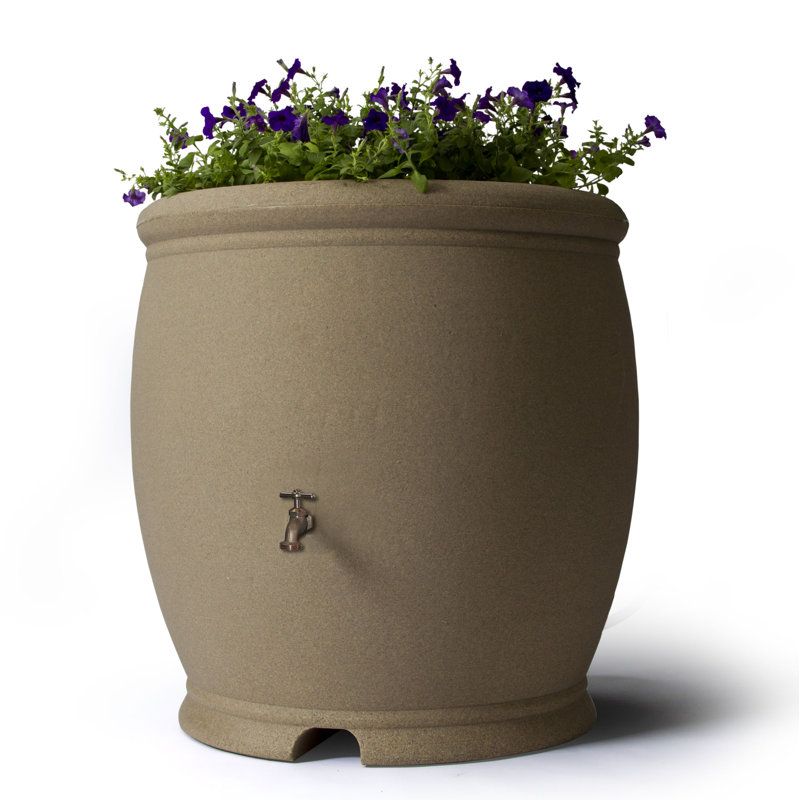 Algreen Plastic Dual Overflow Rain Barrel & Reviews Wayfair